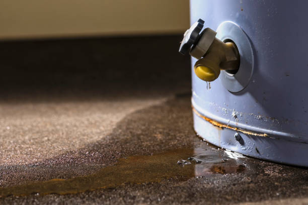 Best Ceiling water damage repair  in Pine Grove Mills, PA
