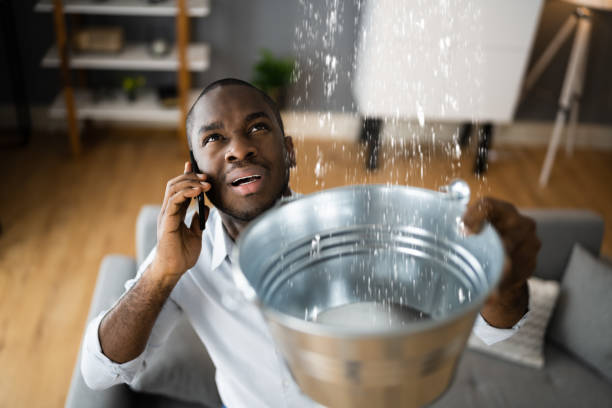  Pine Grove Mills, PA Water damage restoration Pros