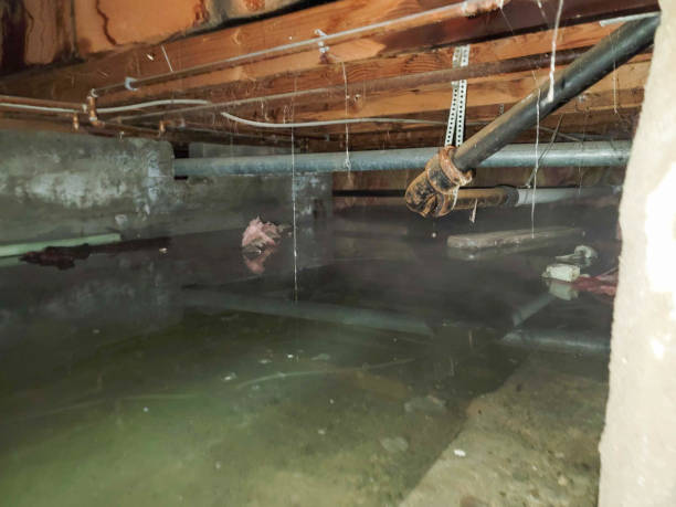 Water damage restoration process in Pine Grove Mills, PA