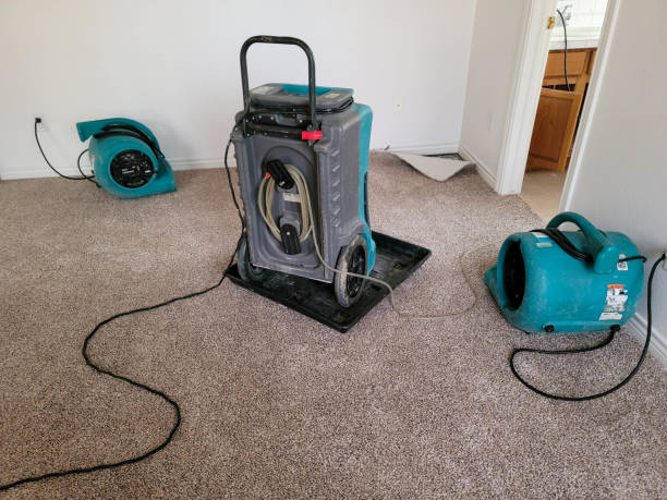 Best 24-hour water damage restoration  in Pine Grove Mills, PA