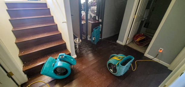 Best Water damage restoration near me  in Pine Grove Mills, PA