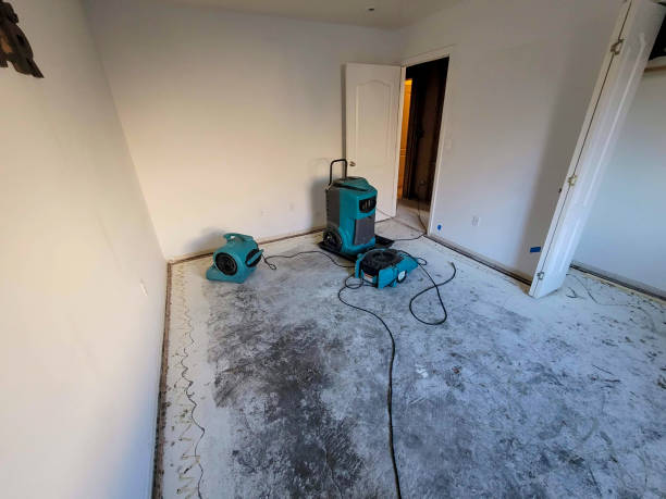 Best Sewage cleanup and water damage restoration  in Pine Grove Mills, PA