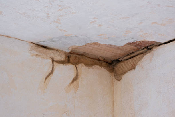 Reliable Pine Grove Mills, PA Water damage restoration Solutions